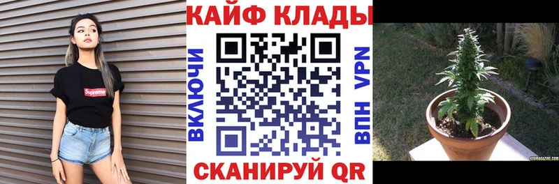 Хочу наркоту Кириши СОЛЬ Амфетамин КОКАИН МЕФ Гашиш Каннабис