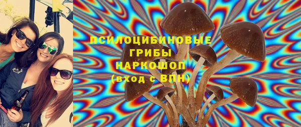 ALPHA PVP Нягань