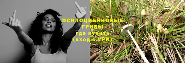 каннабис Алексеевка